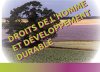  lire JOURNÉE D'ÉTUDES « Droits de l'homme et développement durable »